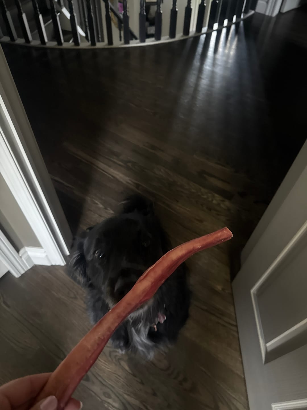 Customer photo review of 6 Inch Braided Jerky Stick