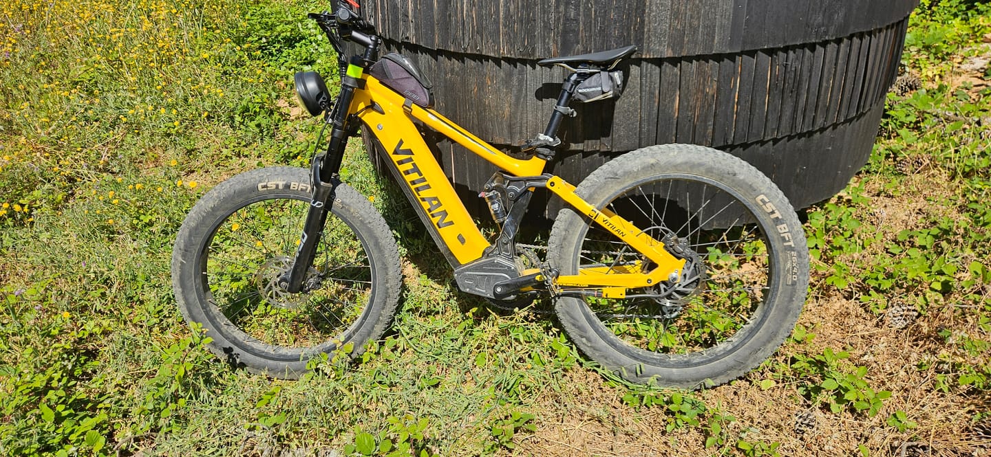 Customer photo review of T7 Full Suspension Mountain E-bike