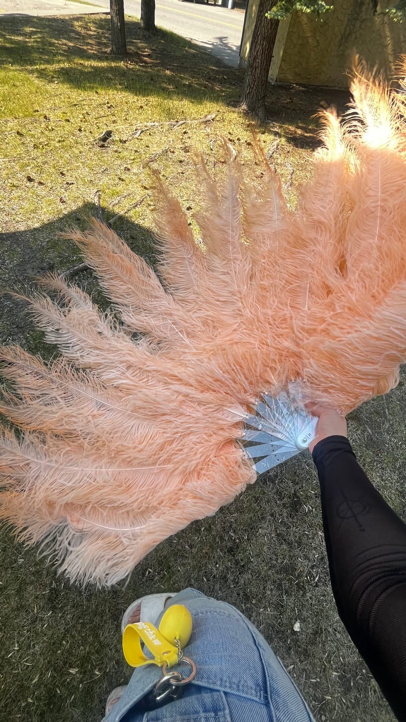Customer photo review of Value Burlesque Fan - Double Layer