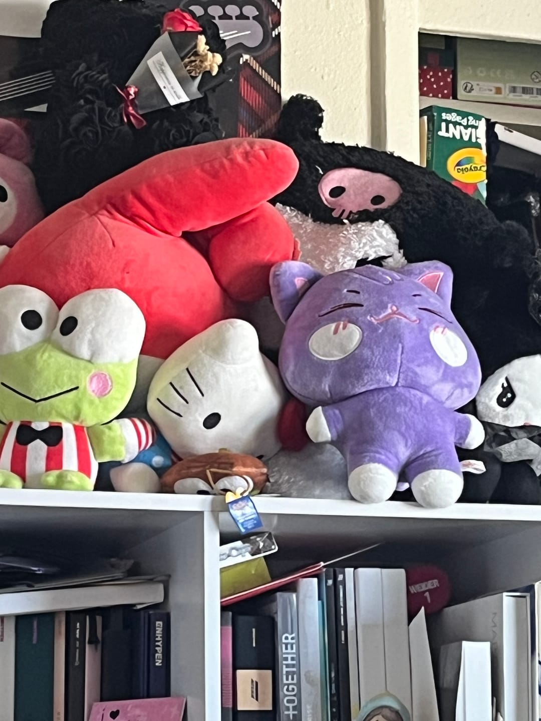 Customer photo review of Ateez x ANITEEZ IN ILLUSION Plush Doll