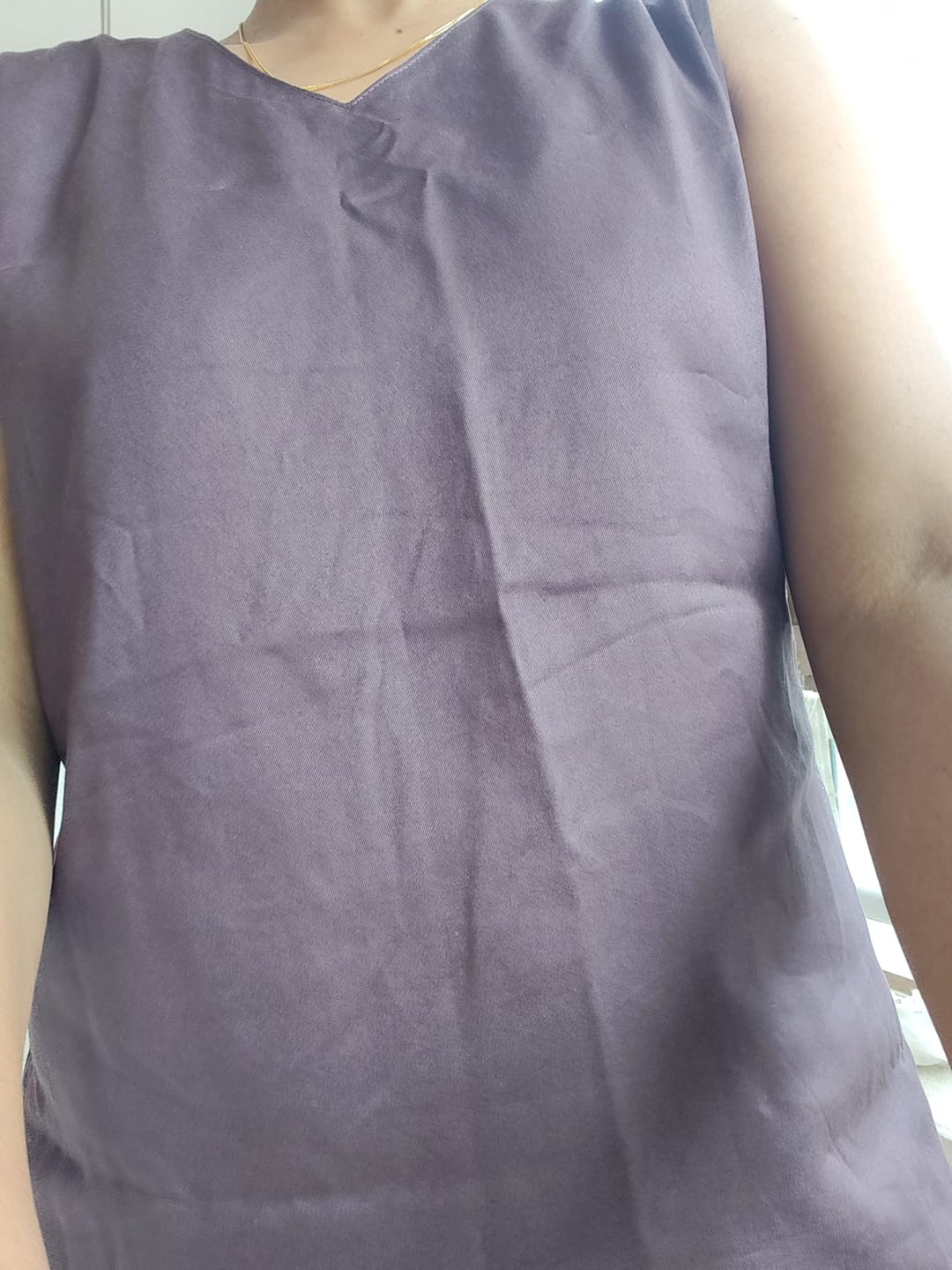 Customer photo review of Brinjal V-Neck Sleeveless Top