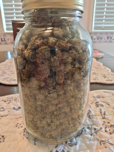 Customer photo review of AK-47 - Greenhouse THCA (Smalls)