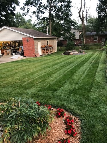 Customer photo review of Protene Performance Summer Fertilizer