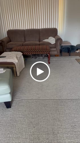 Laurie L. review of SPEEDY TAIL 2.0 image 1 out of 1