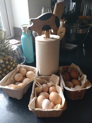 Customer photo review of Unbleached Bamboo Kitchen Roll