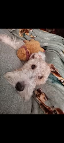 Customer photo review of Vaso Medidor