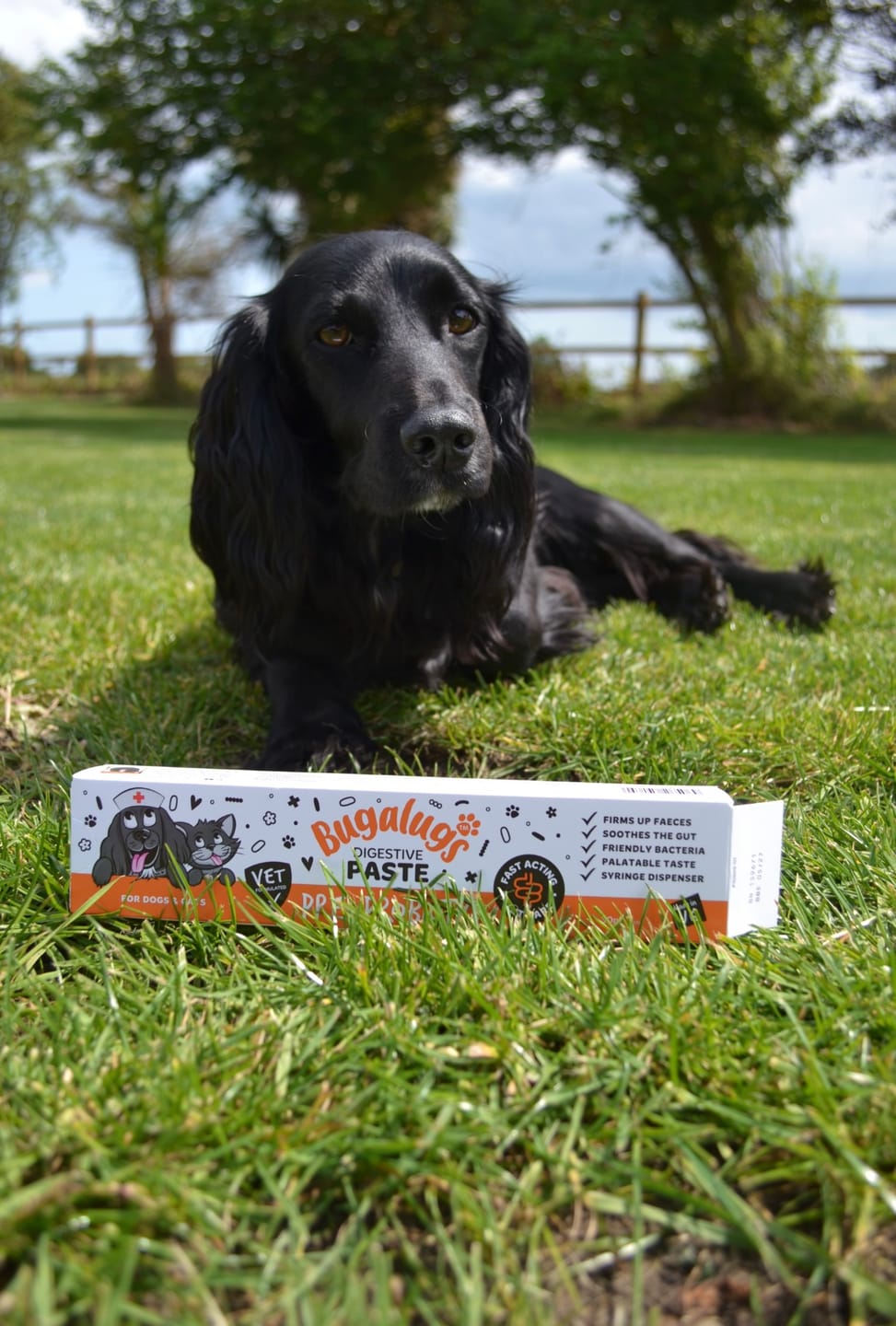 Customer photo review of Bugalugs Pre & Probiotic Digestive Paste for Dogs & Cats (30ml)