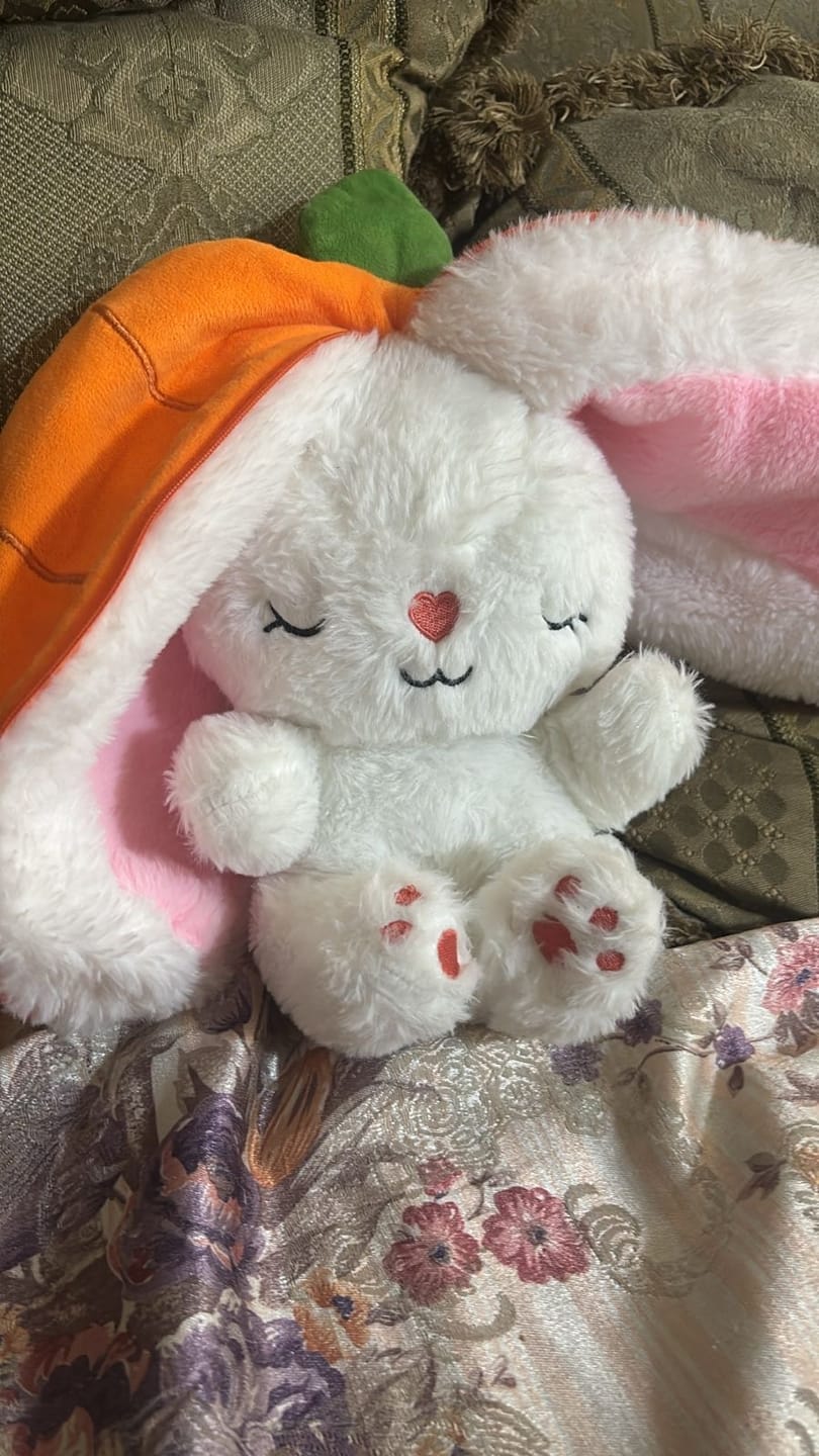 Customer photo review of Dream Bunny: Peluche Antiestrés