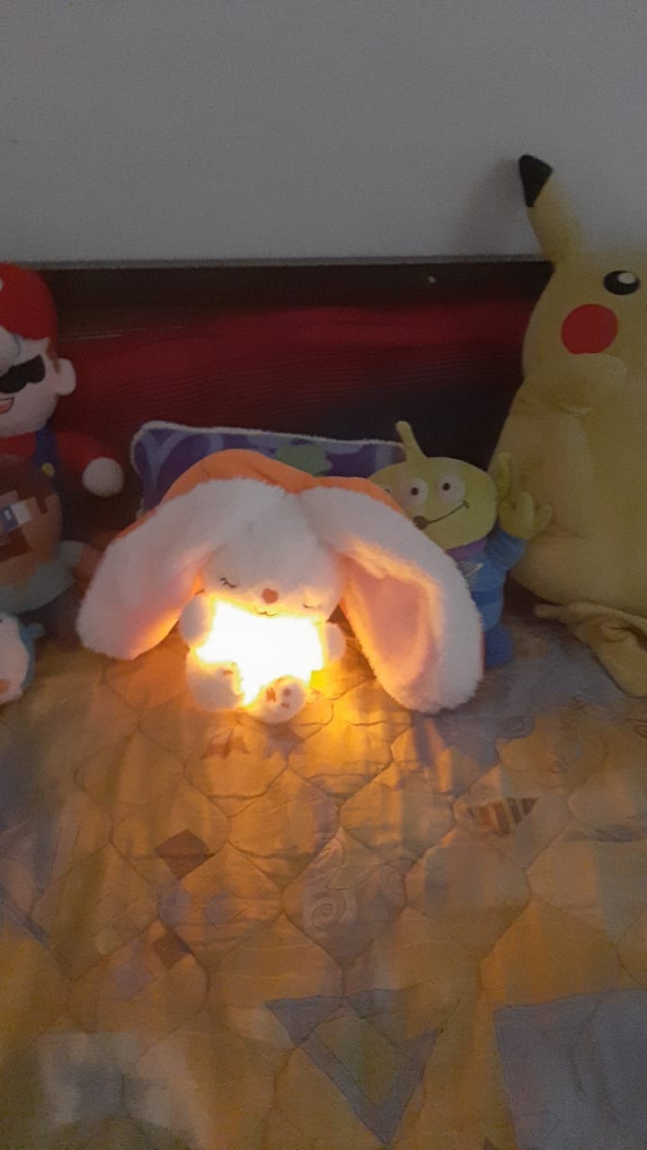 Customer photo review of Dream Bunny: Peluche Antiestrés