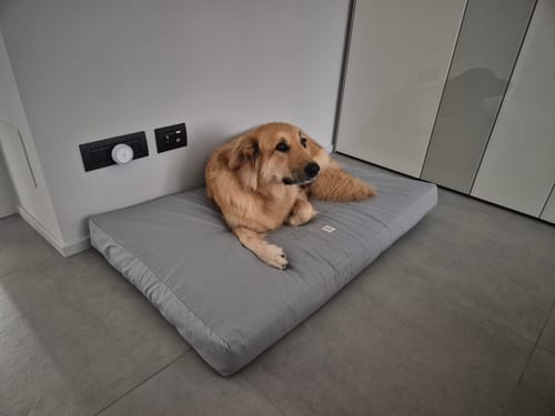 Customer photo review of Materassino Sfoderabile Cotone Unito Siena Grigio Chiaro