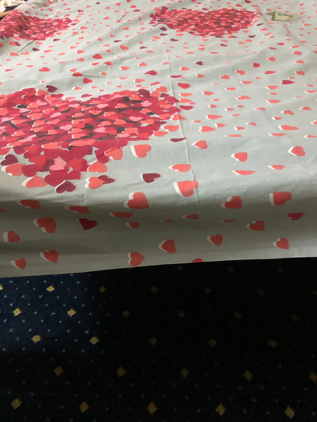 Customer photo review of 2 Pcs Printed Bed Sheet MHS-925