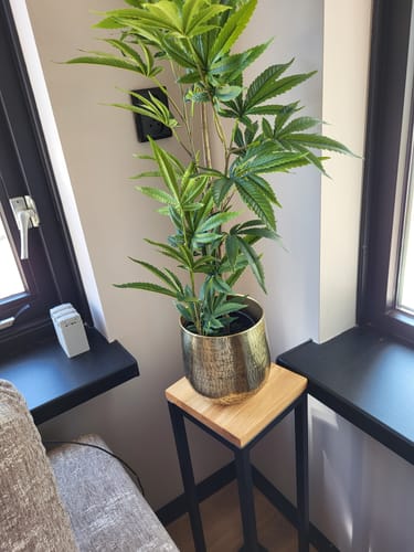 Customer photo review of Bloempot Goud 16x15cm (metaal)