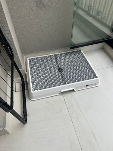 Customer photo review of Weasy Cão