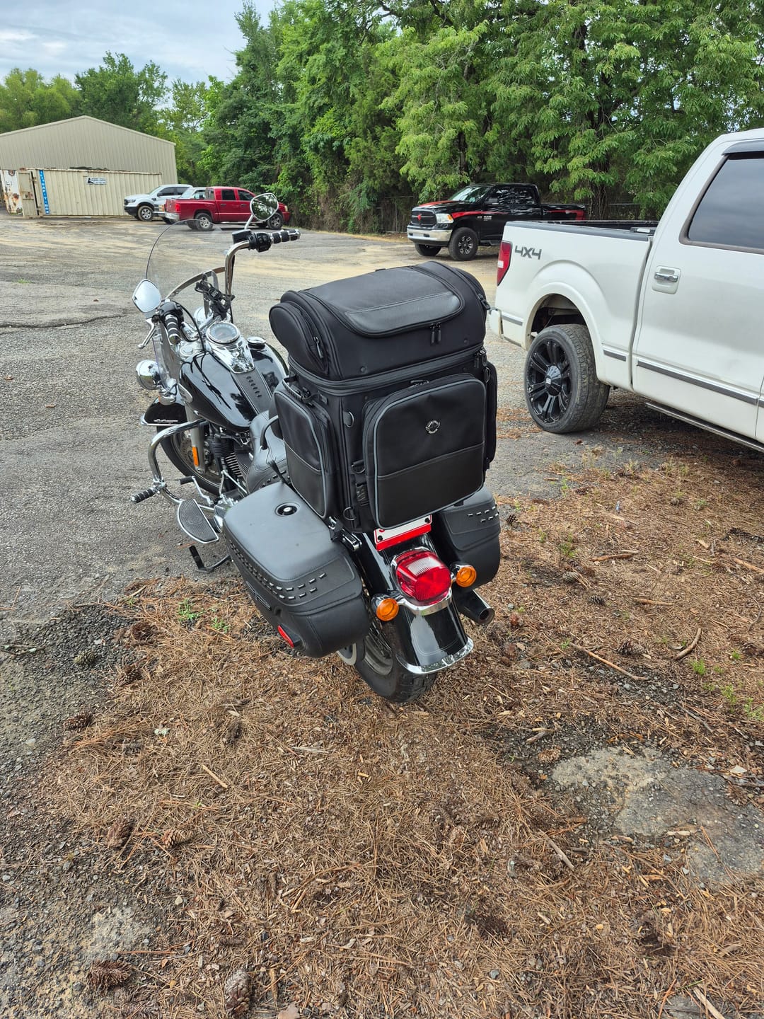 Customer photo review of 57L - Voyage Premium XL Motorcycle Sissy Bar Bag for Harley Davidson