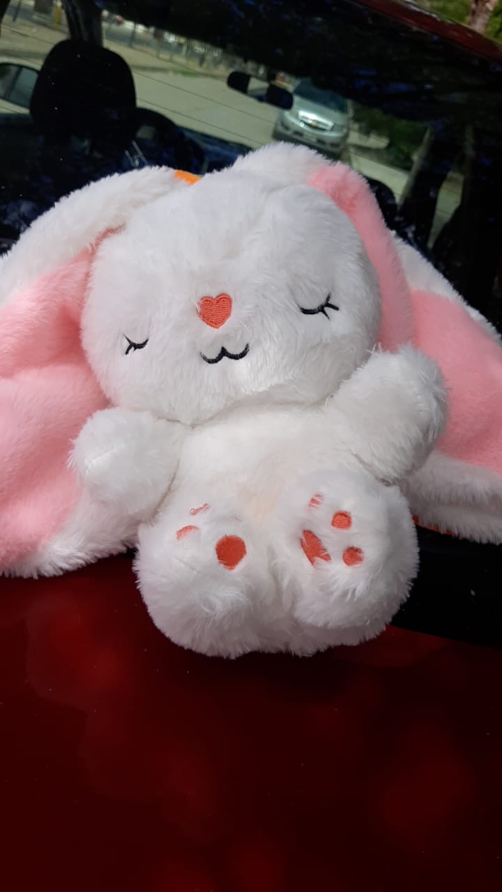 Customer photo review of Dream Bunny: Peluche Antiestrés