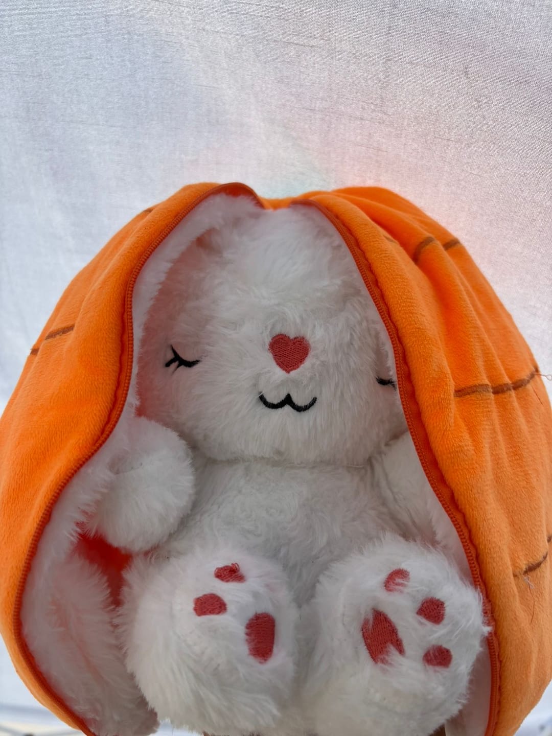Customer photo review of Dream Bunny: Peluche Antiestrés