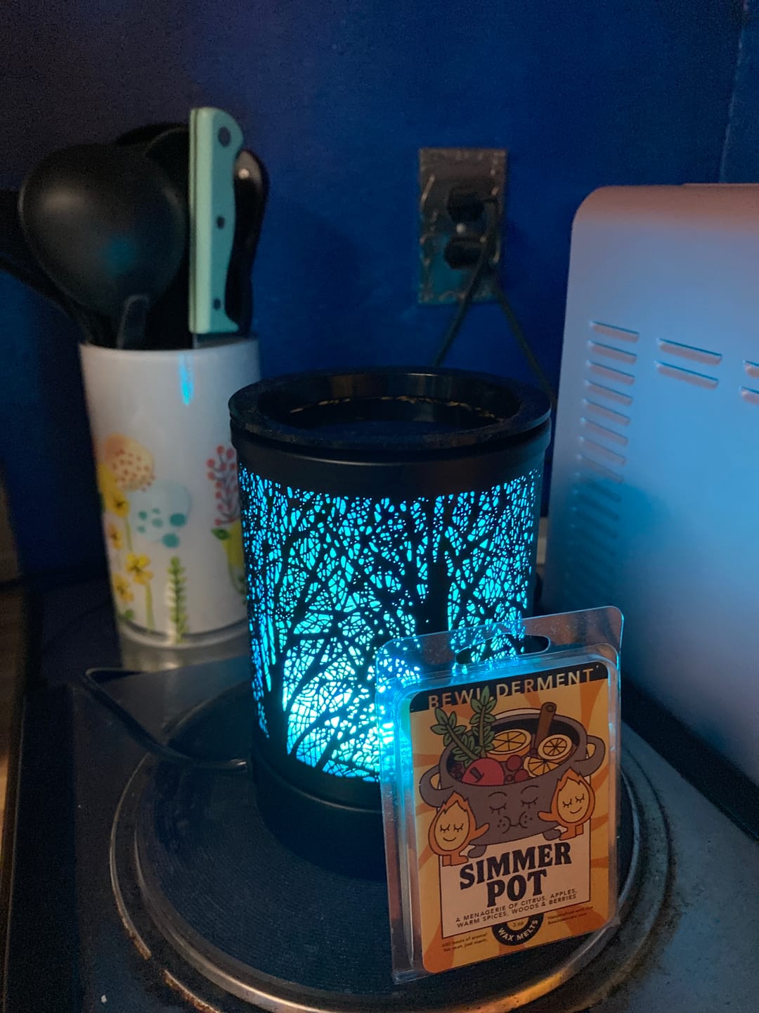 Customer photo review of Simmer Pot Wax Melts