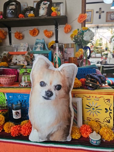 Customer photo review of 本物そっくり♪ペットクッション