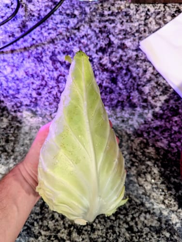Customer photo review of Caraflex Cabbage Seeds