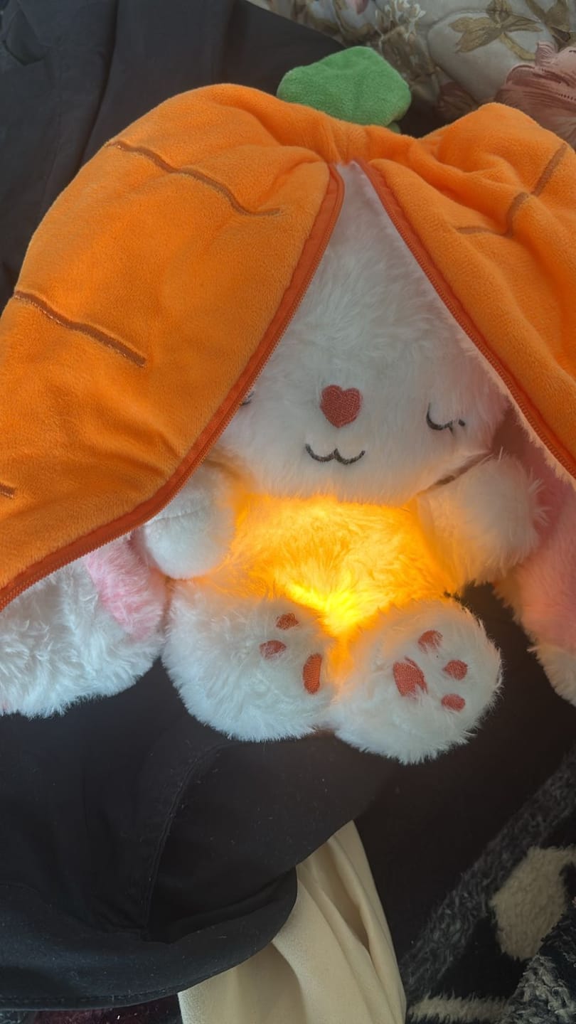 Customer photo review of Dream Bunny: Peluche Antiestrés