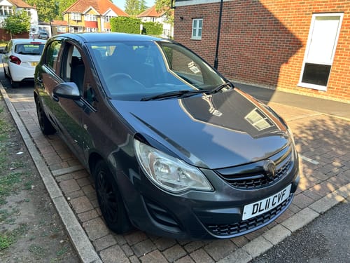 Customer photo review of The Apex Warrior Kit