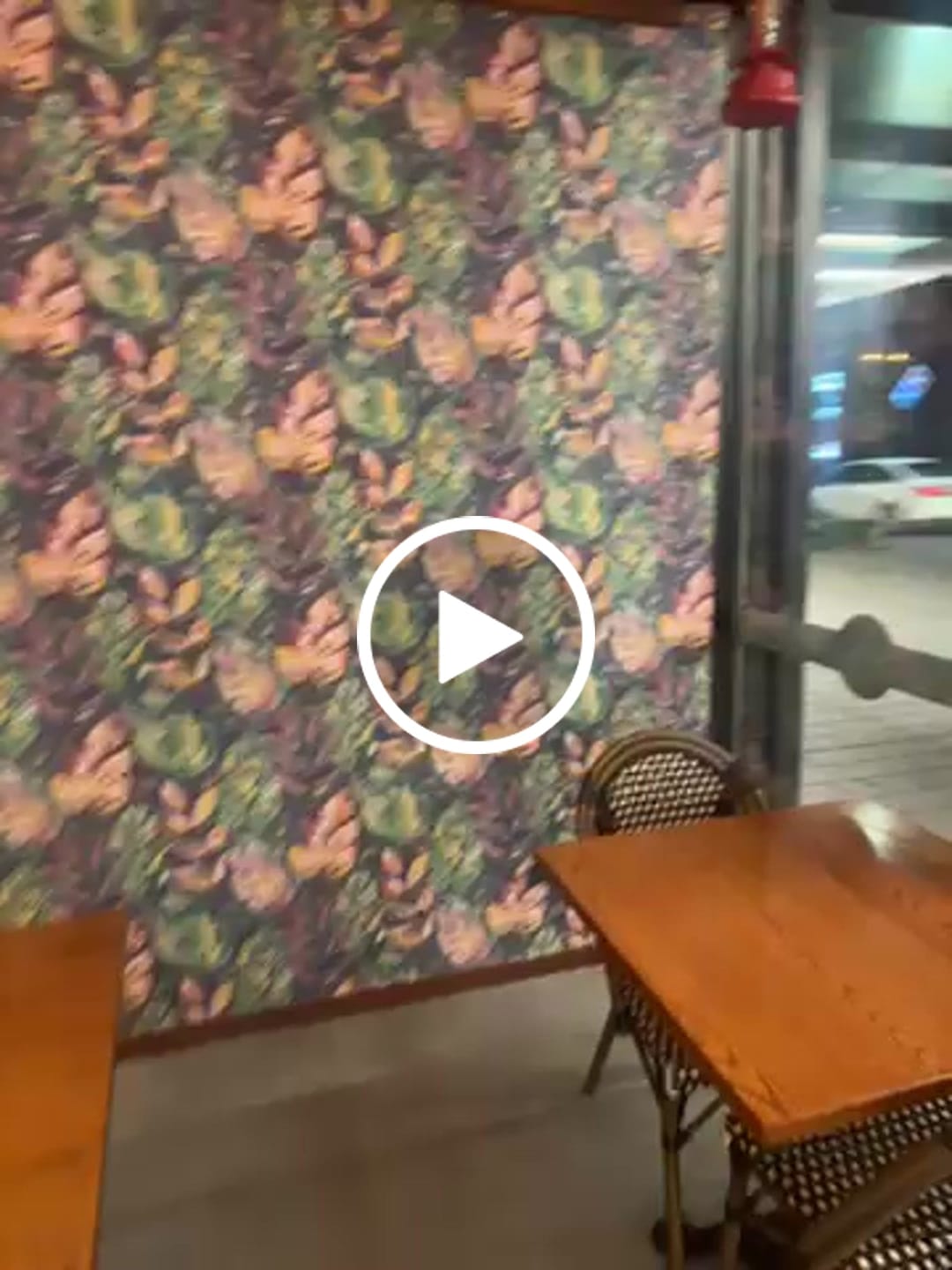 Customer video review of Aralia - Foliage Wallpaper - Navy - Discontinuing- Discontinuing
