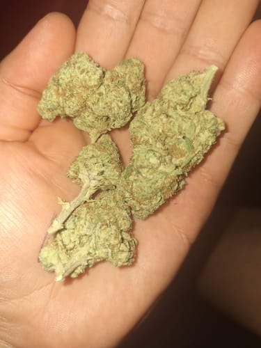 Customer photo review of Marylin Monroe THCA Flower