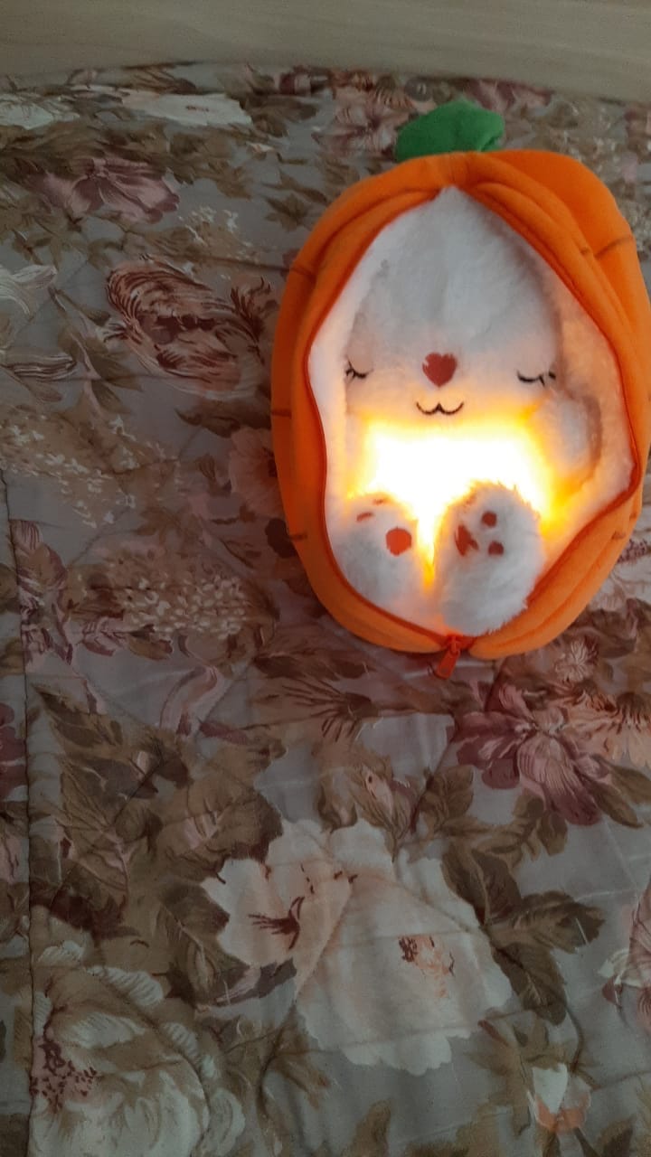 Customer photo review of Dream Bunny: Peluche Antiestrés