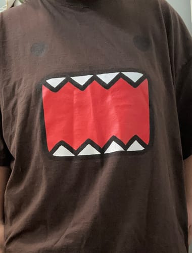 Customer photo review of DOMO FACE TEE
