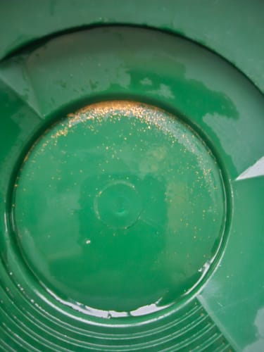 Customer photo review of Gold Clean Up Buddy Kit