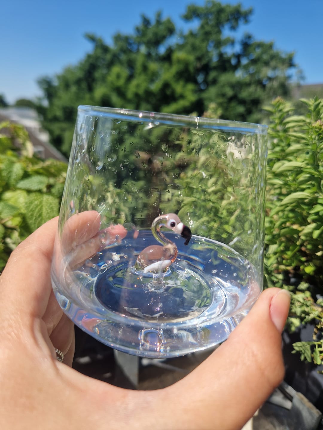Customer photo review of Flamingo Glass