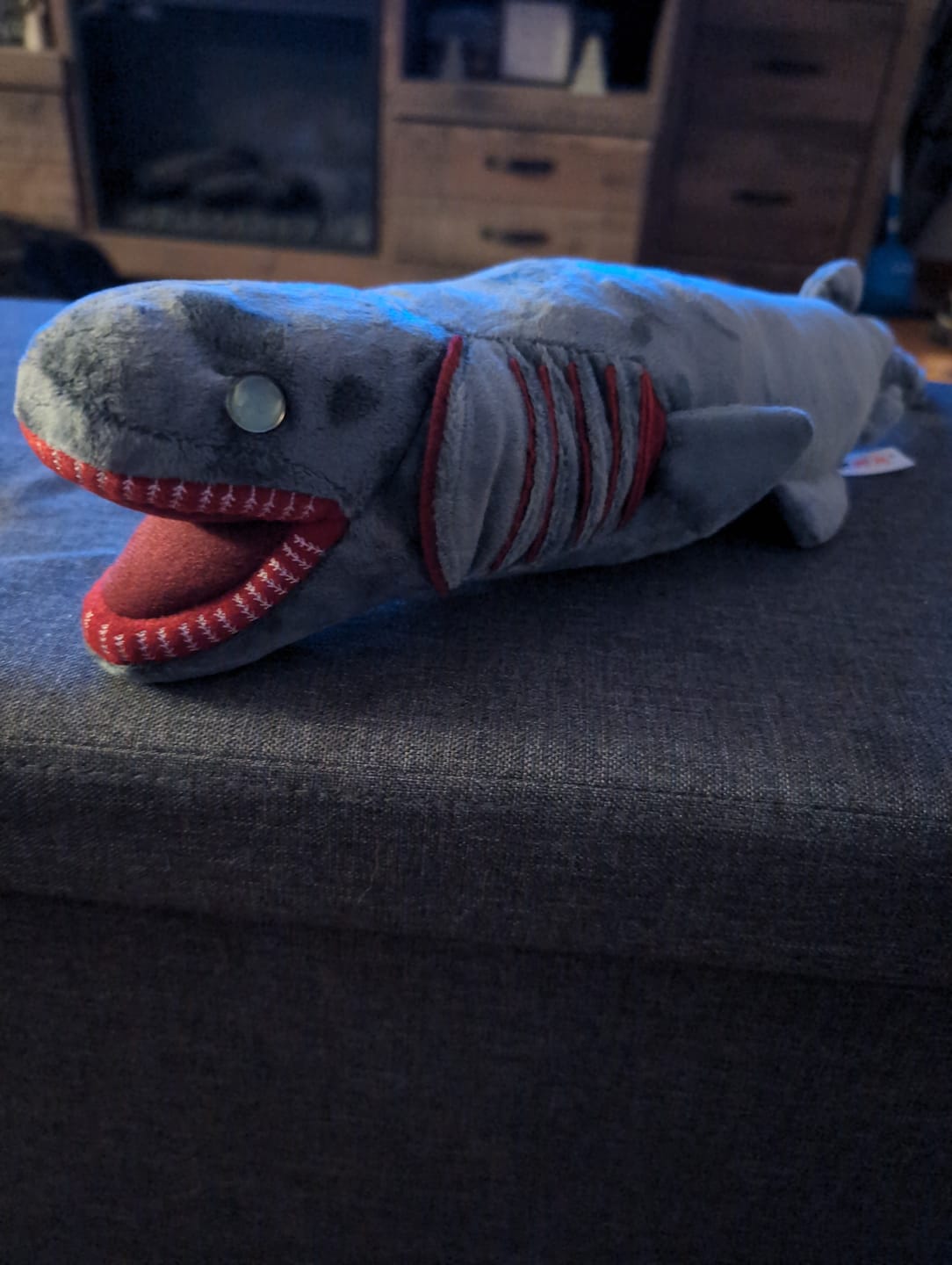 Customer photo review of Frilled Shark Soft Stuffed Plush Toy