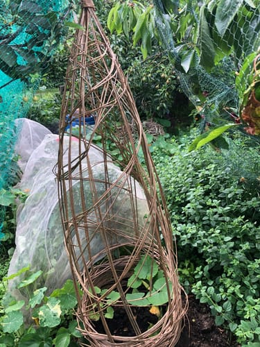 Customer photo review of The Willow Plant Support - Course and Kit