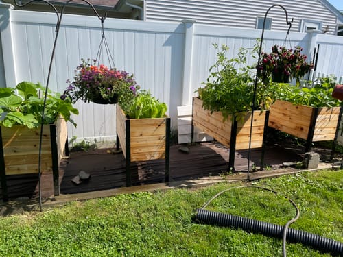 Customer photo review of 18" x 48" Raised Garden Bed - 30" TALL