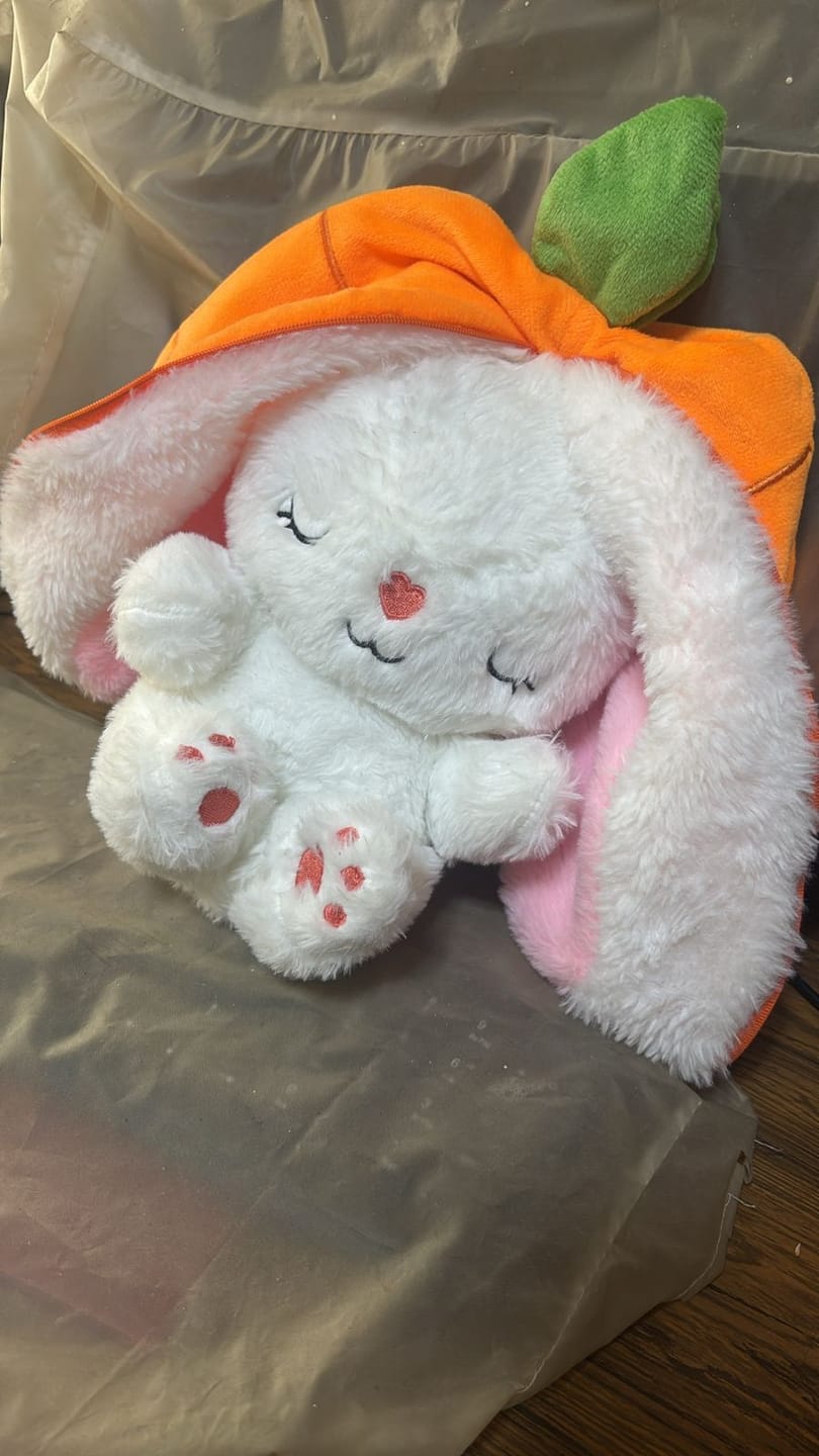 Customer photo review of Dream Bunny: Peluche Antiestrés