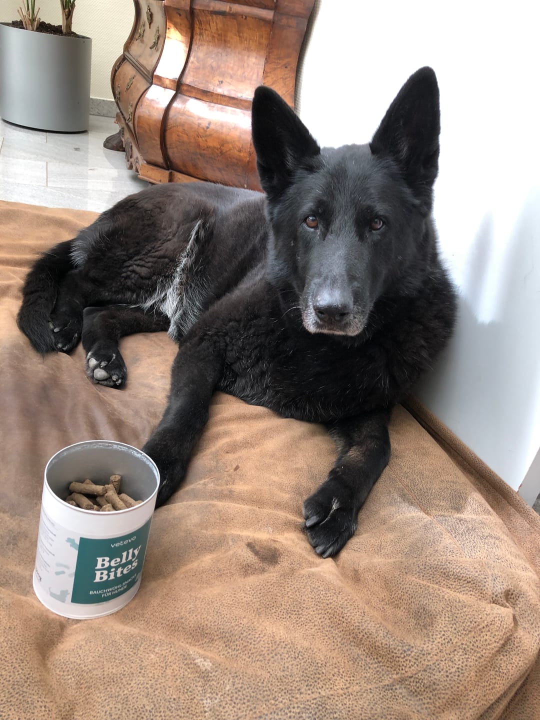 Customer photo review of Belly Bites