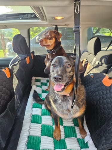 Customer photo review of RuffRover 2.0™ - Hard Bottom Back Seat Extender + (FREE Dog Bed)