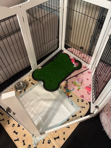 Customer photo review of PaWz 6 Panels Pet Playpen Pet Gate