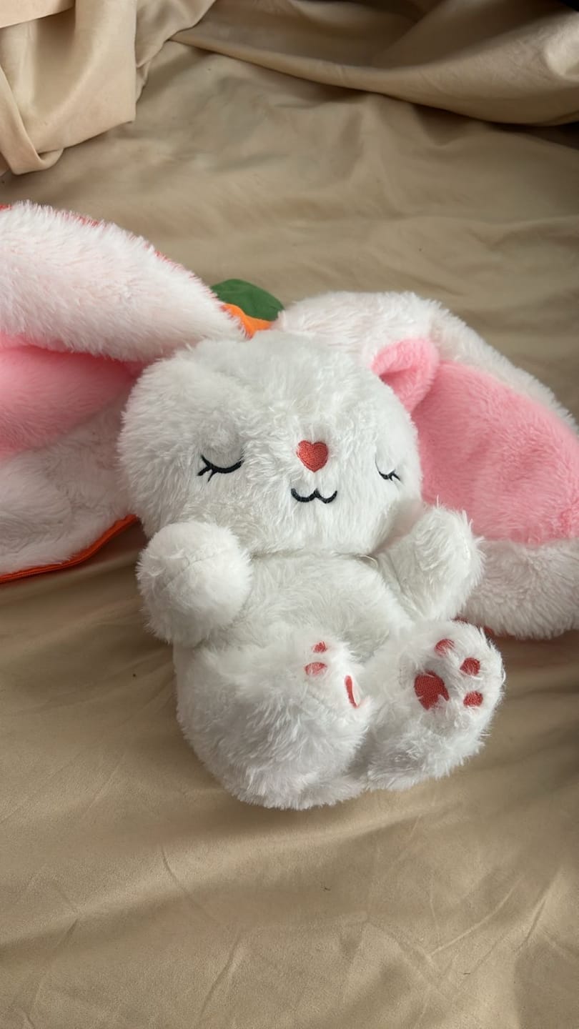 Customer photo review of Dream Bunny: Peluche Antiestrés