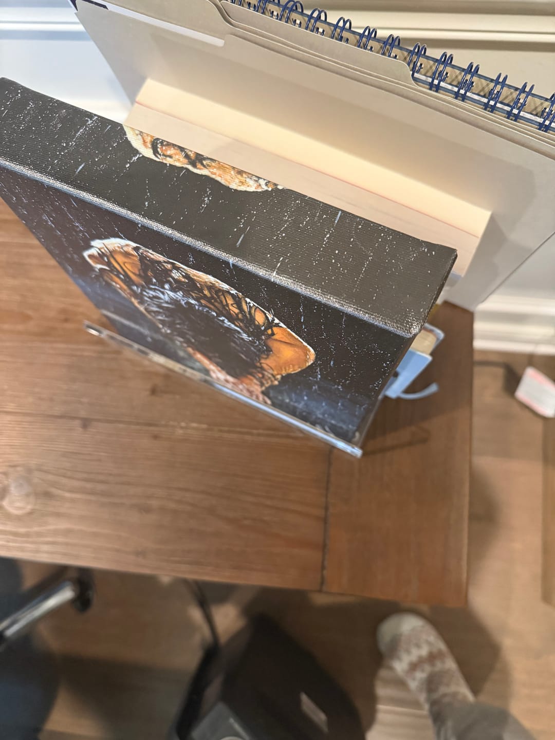 Customer photo review of The Art of Surrender