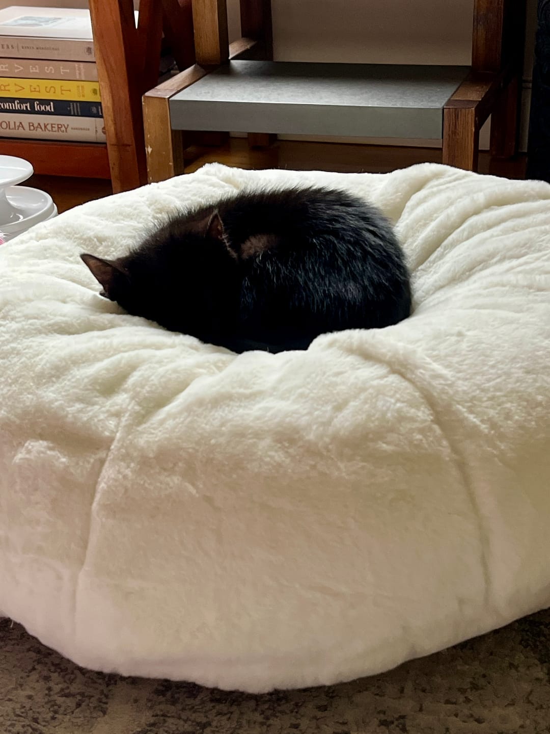 Customer photo review of Sourdough Pudding Bed