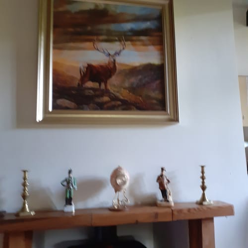 Customer photo review of Noble Silence By Chris Sharp