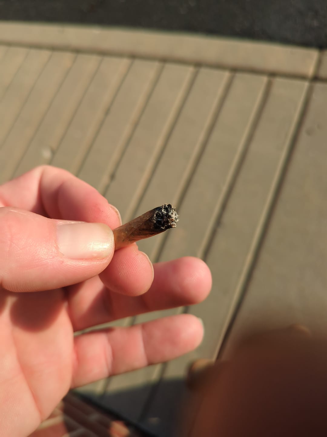 Customer photo review of Greenhouse THCa Flower