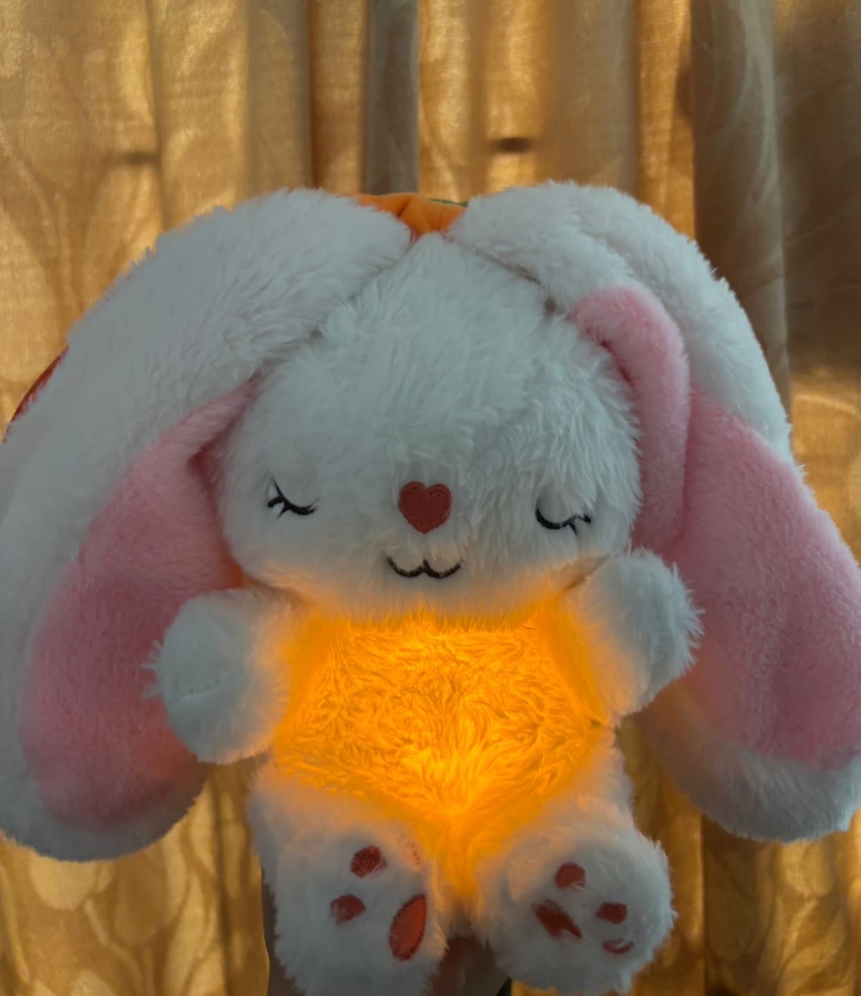 Customer photo review of Dream Bunny: Peluche Antiestrés