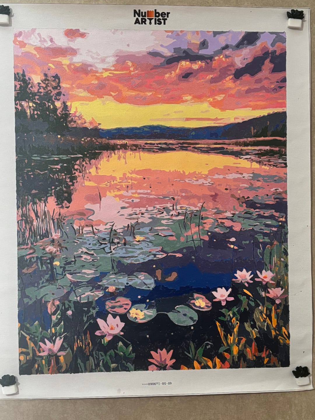 Customer photo review of Lily Sunset