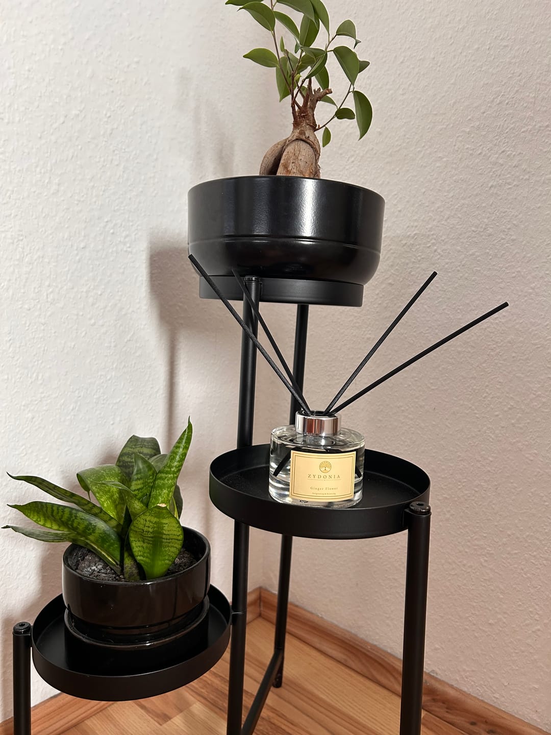 Customer photo review of Zydonia - Raumdüfte mit Aromawirkung 150 ml