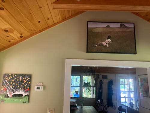 Customer photo review of Christina's World | Andrew Wyeth | 1948