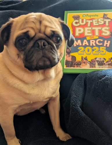 Customer photo review of Cutest Pets of the Month 2025 Photobook