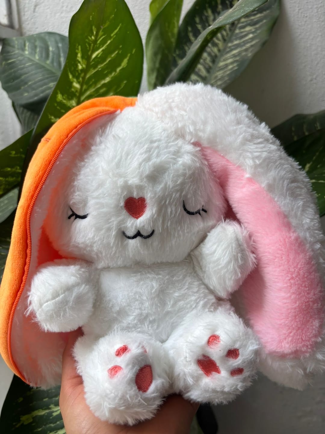Customer photo review of Dream Bunny: Peluche Antiestrés