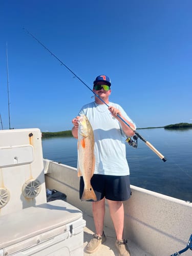 Customer photo review of Waterloo Salinity
